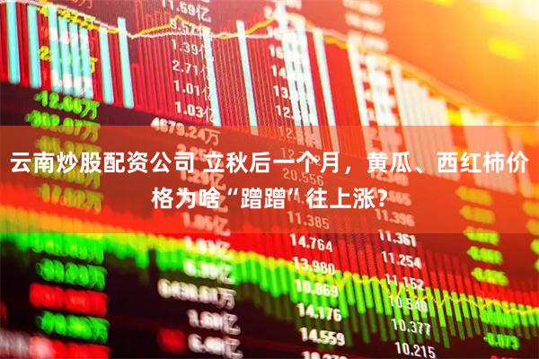 云南炒股配资公司 立秋后一个月，黄瓜、西红柿价格为啥“蹭蹭”往上涨？