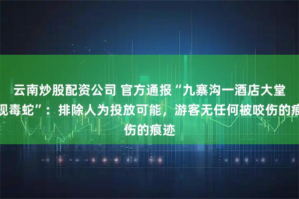 云南炒股配资公司 官方通报“九寨沟一酒店大堂惊现毒蛇”：排除人为投放可能，游客无任何被咬伤的痕迹