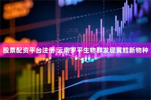 股票配资平台注册 云南罗平生物群发现翼鳕新物种